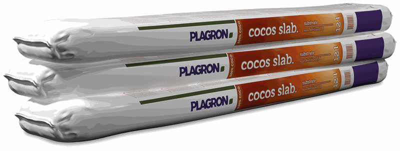 [TMG-SUS-PLA-012] Coco Slab PLAGRON 100 x 19 x 8 cm